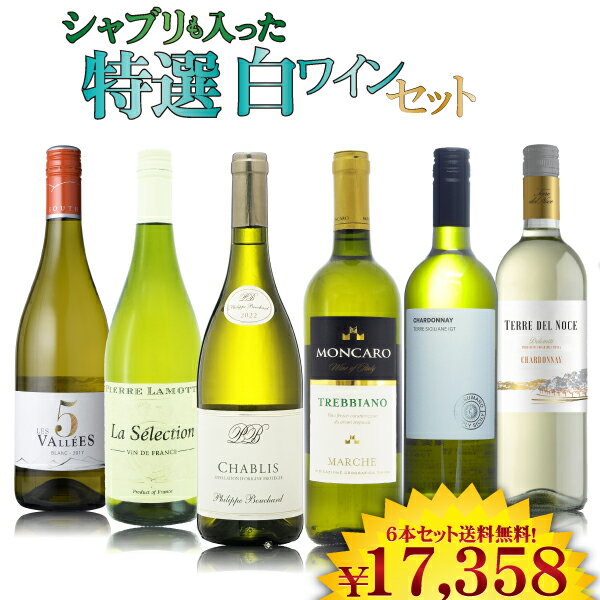 【P2倍(26日まで)】シャブリも入った特選白ワイン6本セット　750ml×6本