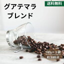 コーヒー豆 drip coffee 華やかな香り ガテマラ 全国送料無料 お試し 小分け 焙煎したて グァテマラブレンド 100g×3 300g 30杯分 ドリ...