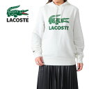 SALE LACOSTE ラコステ ビッグロゴ スウェットパーカー SH2169L メンズ レディース