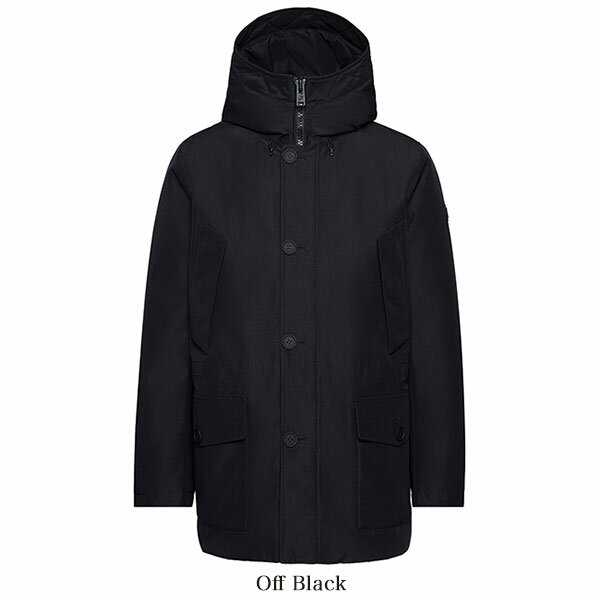 Woolrich ウールリッチ ゴアテックス マウンテンパーカー ダウンジャケット GORETEX WOCPS2930 メンズ