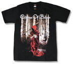 Children Of Bodom Tシャツ チルドレン・オブ・ボドム チルボド COB tシャツ 髭男 ヒゲダン バンドTシャツ ロックTシャツ メンズ レディース Rock rock band T-SHIRTS ファッション 半袖 メロディックデスメタル 【最安値挑戦】