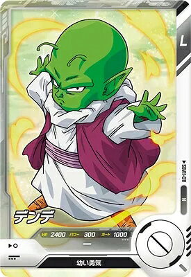 dbsd-sdv11-011.jpg