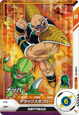 dbsd-sdv02-011.jpg