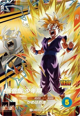 ●Tプレイ用 DBH 孫悟飯:少年期　N4231 70726f647563742f64626677666230