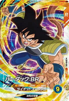 dbsd-sdv08-045.jpg