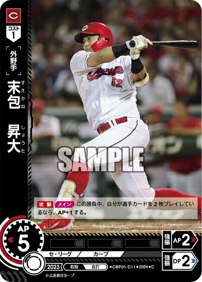 ǥۥӡ㤨֥ץ奫ɥ ɥ꡼४ ꡼ Υ  񡡾 CBP01-C11 CۡפβǤʤ30ߤˤʤޤ