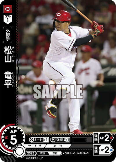 ǥۥӡ㤨֥ץ奫ɥ ɥ꡼४ ꡼ Υ  εʿ CBP01-C12 CۡפβǤʤ30ߤˤʤޤ