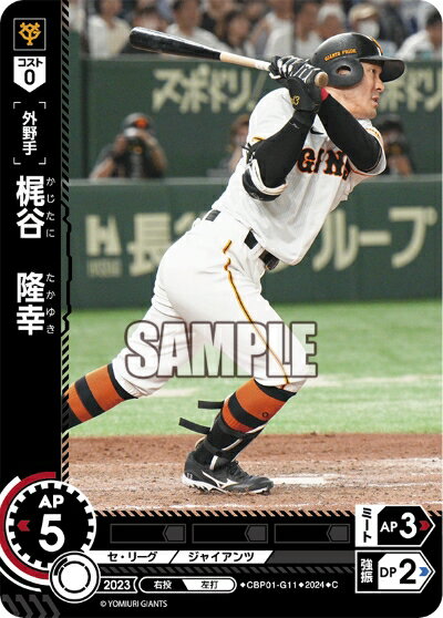 ǥۥӡ㤨֥ץ奫ɥ ɥ꡼४ ꡼ 䥸㥤  ëδ CBP01-G11 CۡפβǤʤ30ߤˤʤޤ