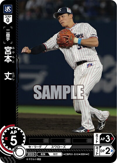 ǥۥӡ㤨֥ץ奫ɥ ɥ꡼४ ꡼ 䥯ȥ ݼ ܡ CBP01-S10 CۡפβǤʤ30ߤˤʤޤ