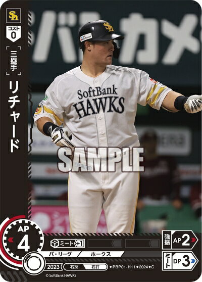 ǥۥӡ㤨֥ץ奫ɥ ɥ꡼४ ѡ꡼ ʡեȥХ󥯥ۡ ݼ 㡼 PBP01-H11 CۡפβǤʤ30ߤˤʤޤ