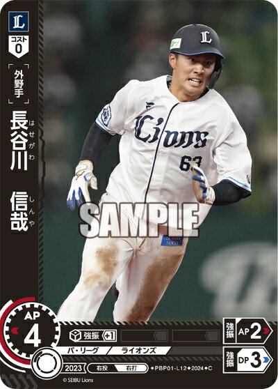 ǥۥӡ㤨֥ץ奫ɥ ɥ꡼४ ѡ꡼ 饤  Ĺë PBP01-L12 CۡפβǤʤ30ߤˤʤޤ