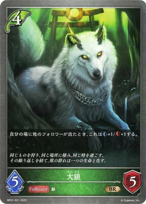 Shadowverse EVOLVE シャドウバース BR 大