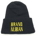 90's BRAND NUBIAN ブランド・ヌビアン IN GOD WE TRUST 刺繡 ビーニーキャップ ブラック HIP HOP 【中古】 rf(4)