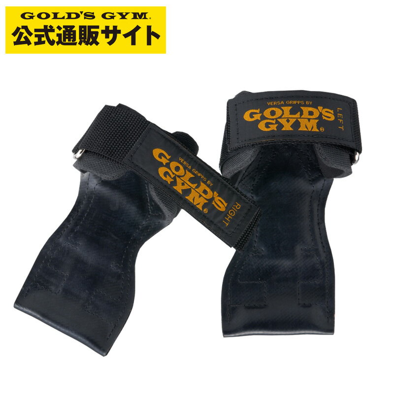 GOLD'S GYM ゴールドジム パワーグリップ　プロタイプG3710