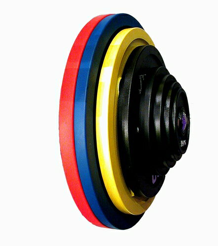 楽天市場】ivanko プレート 15kgの通販