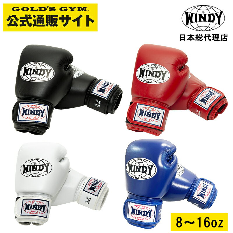 【日本総代理店】WINDY(ウィンディ) B