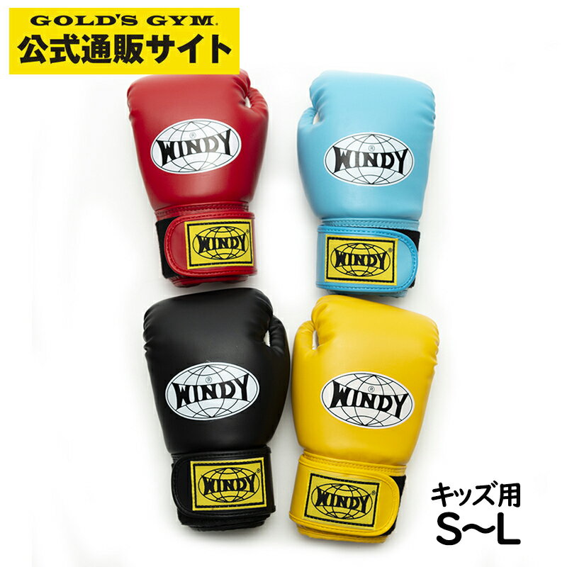 【日本総代理店】WINDY(ウィンディ) B