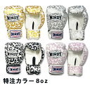 特注カラーWINDY(ウィンディ) BGVH トレーニンググローブ