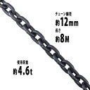  `F[ a12mm gp׏d4.6t 4600kg 8m G80 GRm~[f   ݂ `F[XO XO`F[ N`F[ `FC  N[ zCXg ʊ| ݂グ ^ z y SH ^A D chain12mm8m