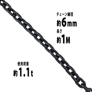 送料無料 チェーン 線径約6mm 使用荷重約1.1t 約1100kg 約1m G80 エコノミーモデル 鎖 くさり 吊り具 チェーンスリング スリングチェーン リンクチェーン チェイン 金具 クレーン ホイスト 玉掛け 吊り上げ 運搬 建築 土木 鉄工 運輸 造船 chain6mm1m