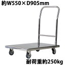 送料無料 台車 オールステンレス台車 耐荷重約250kg 積載面約550×905mm 平台車 大型台車 重量台車 台車 手押し台車 運搬台車 業務用 ステンレス フルステンレス SUS 約55×90.5cm 食品 冷蔵倉庫 クリーンルーム daishakdsus