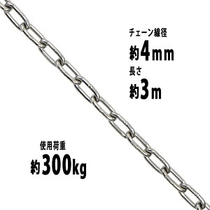 送料無料 ステンレスチェーン チェーン 線径約4mm 使用荷重約300kg 約3m SUS304 JIS規格 ステンレス製 鎖 くさり 吊り具 チェーンスリング スリングチェーン リンクチェーン チェイン 金具 クレーン ホイスト 玉掛け 吊り上げ 建築 工場 水まわり suschain4mm3m