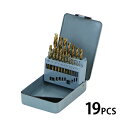 送料無料 ドリルビット 19PCS 19点 1mm~10mm 木工用 鉄鋼用 丸軸タイプ ストレート チタンコーティング チタンメッキ ハイス鋼 HSS ビットセット ドリル ケース付き 工具セット 作業セット ハンドツール 穴あけ 木材 軟鋼 プラスチック 切削工具 工具箱 DIY drillbit19p