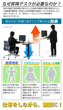 訳あり 送料無料 昇降デスク 電動 エコノミーモデル PSE適合 W1600×D800×H740〜1225mm 耐荷重約100kg(脚部) スタンディングデスク 上下昇降 デスク 高さ調整 エルゴノミクス 昇降式デスク 昇降テーブル 電動デスク シングルモーター オフィス セーフティ dk12160stl
