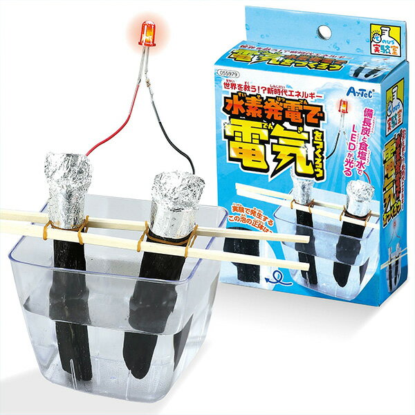 Rakuten - 水素発電で電気をつくろう 水素発電工作キット　科学工作 知育玩具 教材 学習 おもちゃ 玩具 児童 子供向け 発育 教育 学童