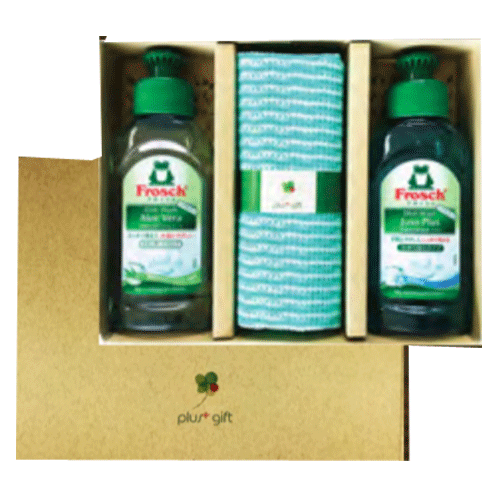 フロッシュ 食器用洗剤　プラスギフトフロッシュFFC　100ml×2本　アロエ&重曹　キッチンクロス