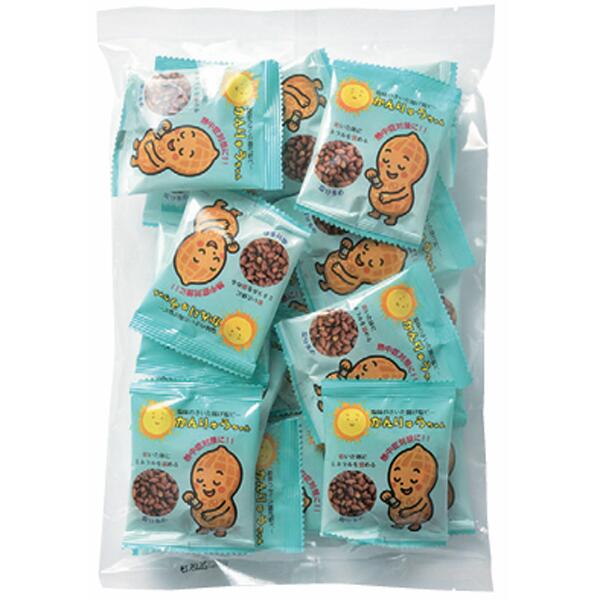 塩味のきいた揚げ塩ピー　かんりゅうちゃん　250g（17袋入）　10個セット販売　熱中症対策塩分補給お菓子　販促品・景品・粗品・ノベルティ（楽天・ゴールドスター）