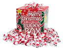 クリスマス お菓子抽選つかみどり大会 クリスマスサンタチョコすくいどり 50人用 サンタチョコボール300コ・お持ち帰り袋50枚・すくいどりBOX・すくいどり用...