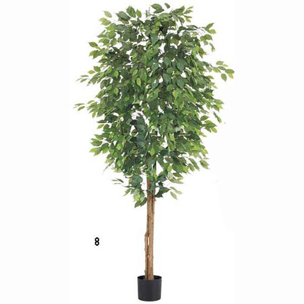 乐天商城 - 観葉植物　造花　装飾品　210cmフィカスツリー(ナチュラルトランク)　※ポットは別売り