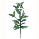 正月 ディスプレイ 千両スプレイ(26) 12本セット販売 全長65cm