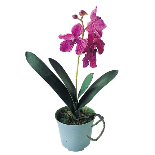 バンダポット　3個セット販売　造花装飾　店舗・病院・飲食店用装飾　花のディスプレイ