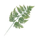 造花 フェイクグリーン 人工観葉植物 レザーファン 6本セット販売 全長46cm 地上に生息する常緑性のシダ植物 造花 装飾