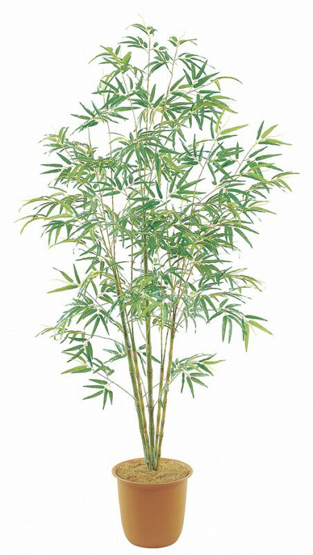七夕用装飾　バンブーツリーMサイズ　210cm　※ポットは別売り　七夕装飾　造花笹　飲食店・住宅展示場..