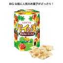 お菓子景品　BIGボックス　パイの実　30個セット販売　ビッグサイズパッケージ　お菓子詰め合わせ　お子様用景品　ハロウィンイベント　抽選会景品　販促品・ノベルティ・プレゼント