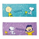 スヌーピー ホシゾラタオル 60枚セット販売 かわいいキャラクタータオル おしゃれな色合い スポーツやレジャーに デイリータオル 2色取混ぜ 販促品・景品・ノベ...