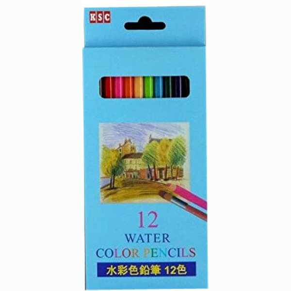 色鉛筆 水彩色鉛筆 12色（箱入り） 工作・図工・ワークショップ用 120個セット販売