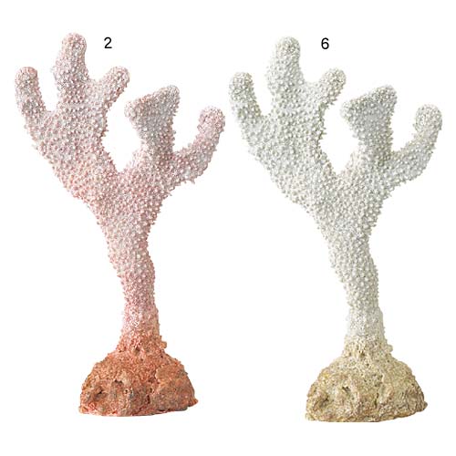 珊瑚　オブジェ　25cmコーラル　夏の海装飾　ディスプレイ・飾り用