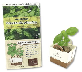 植物栽培キット 発芽キット パニエ デ プランテ 花 観葉植物 100個セット販売 自分で組み立てて鉢を作る手作り感が楽しい発芽キットです 紙製ポットで環境にやさしい ゴールドスター デ 観葉植物用品 栽培ポット 販促品 まとめ売り 植物栽培キット 発芽キット パニエ デ プランテ 花 観葉植物 100個セット販売 自分で組み立てて鉢を作る手作り感が楽しい発芽キットです 紙製ポットで環境にやさしい ゴールドスター デ 観葉植物用品 栽培ポット 販促品 まとめ売り