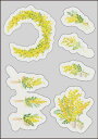 春の花　ディスプレイ　店舗装飾　ウィンドウステッカーA3サイズ　ミモザスプレイ　42×29.7cm　片面