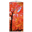 秋の装飾 ディスプレイ タペストリー 山紅葉 H180×W90cm 色々なシーンで使える 上下パイプ 上部ひも付き