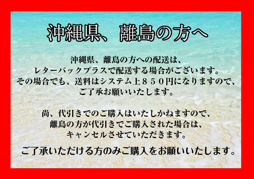 【チャージャーのみ・単体】【製品登録不可】国内正規品【新品・未使用】【箱無し...