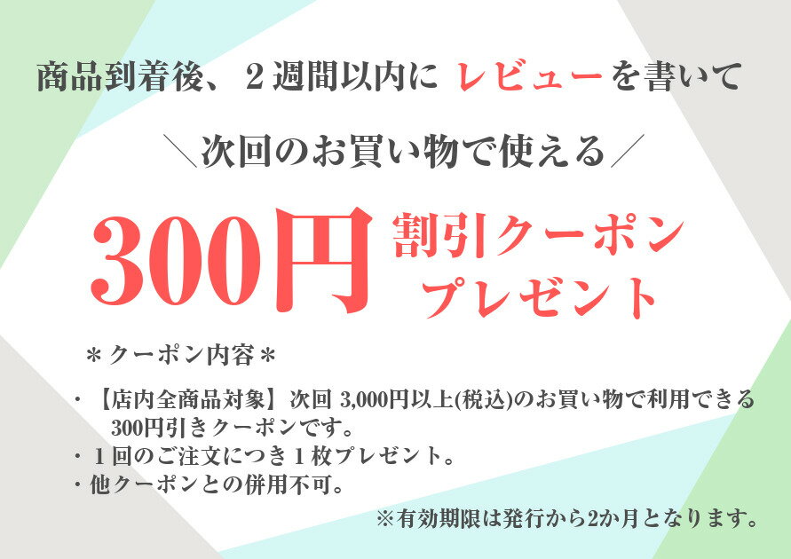 【限定色】【新品・未開封】【国内正規品】 Pl...の紹介画像3