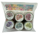 【TOY's×INITY】 【6色セット】 Flower bouquet SET ジェル 3g ジェルネイル トイズ バイ アイニティ フラワーブーケ T-FB...