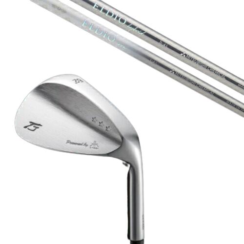 カスタムクラブ 共栄ゴルフ TJ STAR THREE スタースリー トラディショナルモデル ウェッジ 三菱ケミカル ELDIO Iron エルディオ 女性専用...