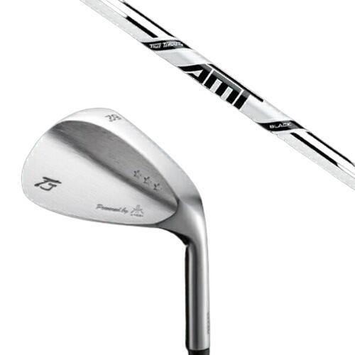 カスタムクラブ 共栄ゴルフ TJ STAR THREE スタースリー トラディショナルモデル ウェッジ ダイナミックゴールド DG AMT BLACK AMTブ...