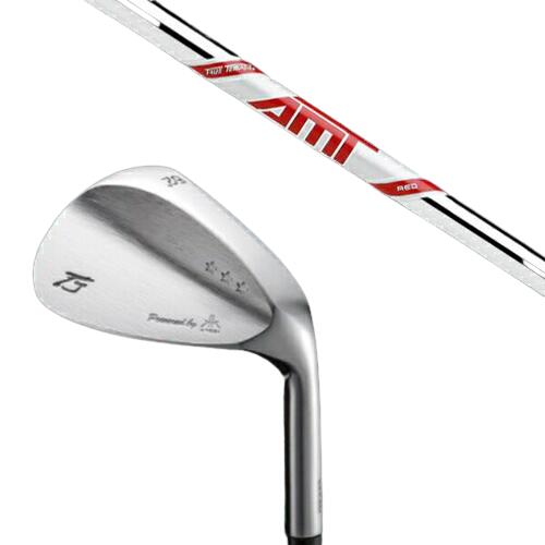 カスタムクラブ 共栄ゴルフ TJ STAR THREE スタースリー トラディショナルモデル ウェッジ ダイナミックゴールド DG AMT RED AMTレッド...